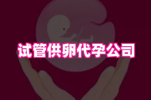 贵州助孕网站 4
